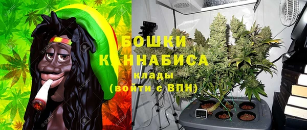 гашик Белокуриха