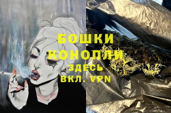 дживик Беломорск