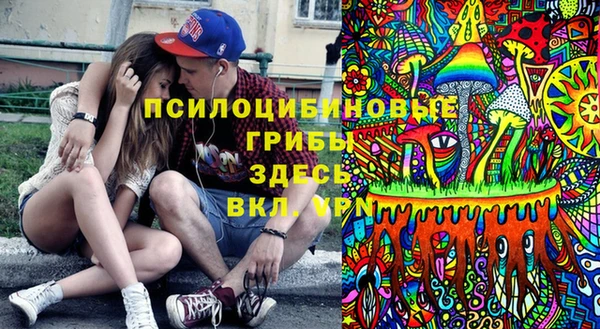 гашик Белокуриха
