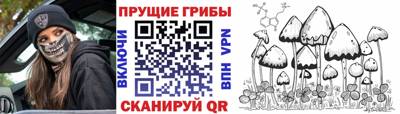 Галлюциногенные грибы Cubensis  дарк нет как зайти  Козловка 